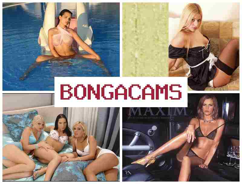 BONGACWMS 🔔 Webcam Ladyboy Porno & True Slut