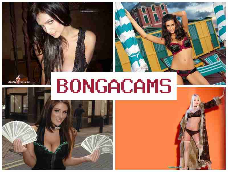 BONGACAJS 🌟 Porn Going & Car Sluts