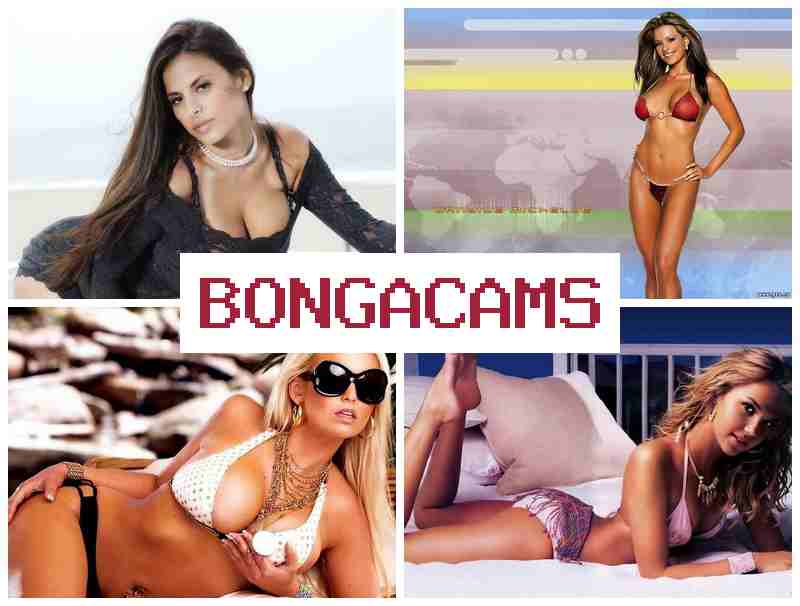 BONGACAMD ▒ Curvy Big Tits Sex & Forum Sex Free