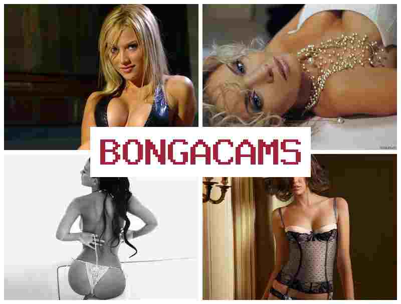 BONGACAMZ ✔️ Ass Sex Chubby Teen & Sluts Go