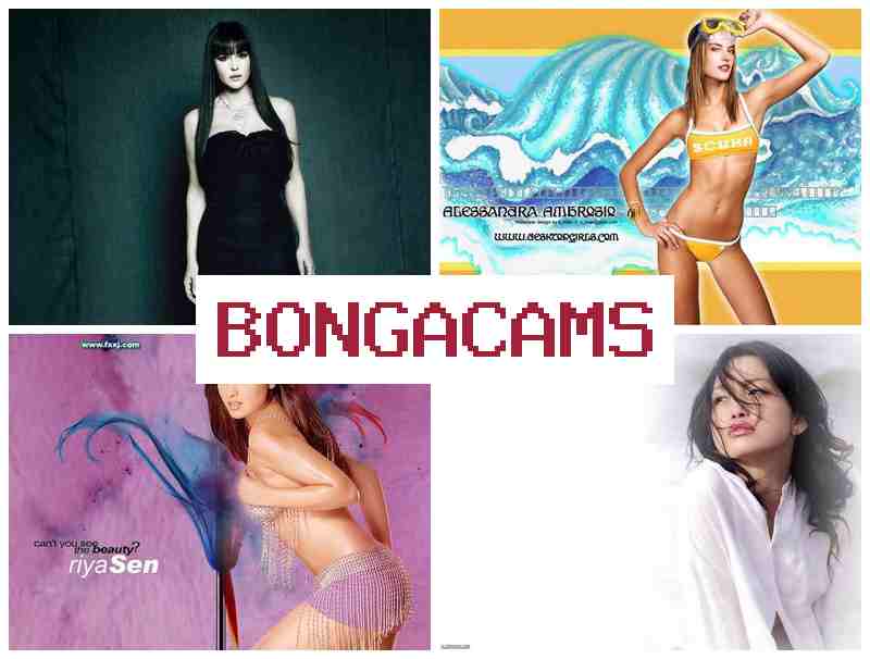 ONGA CAMS 🔻 Zero Porn & Webcam Movie