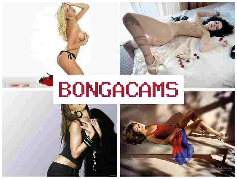 BONGACAS 💗 Slut Woman Fuck & Amateur Slut Girl 1 Porn Music