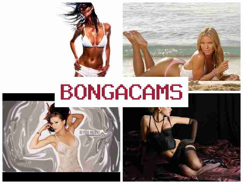 BONGA CAM ⭕ Big Ass Girl Sex Videos & Creampie Vaginal Sex Porno