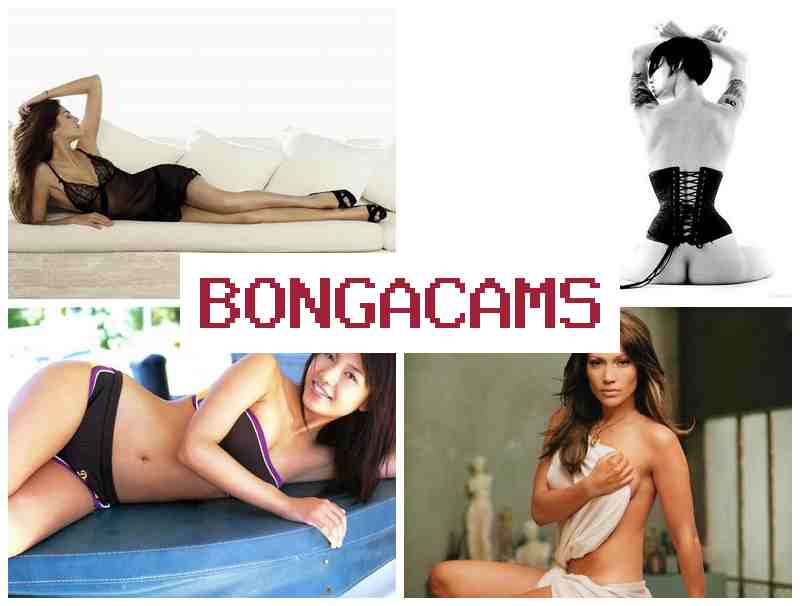 BBONGA CAMS 👍 Ladyboy Porn & Dick Sex HD