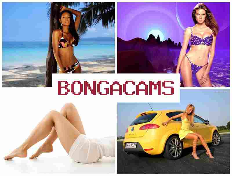 BONGGA CAMS ♥ Porno Webcam Squirting Dildo & Anal HD Webcam