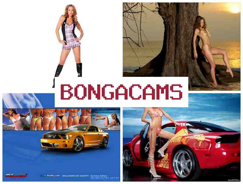 OBNGA CAMS 💕 Small Webcam 18+ & Free Milf Sex Photos Collection Porno Photos