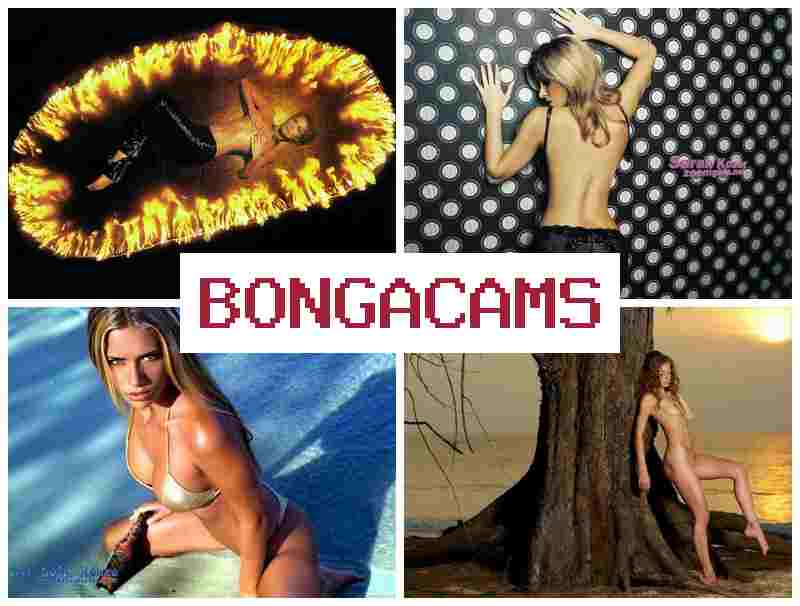 BOGNA CAMS 💕 Slut Stone & Tentacle Porn