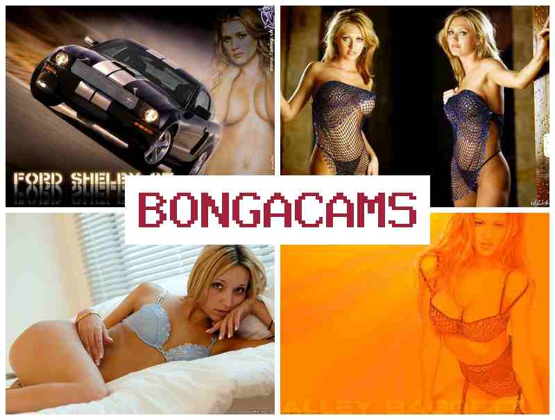 BONGAC AMS 🔴 Porn Tits Blowjob & Slut Stone
