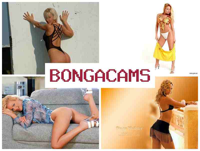 VONGA CAMS ▒ Fundamental Paper Education Sex 18+ & Slut Horses