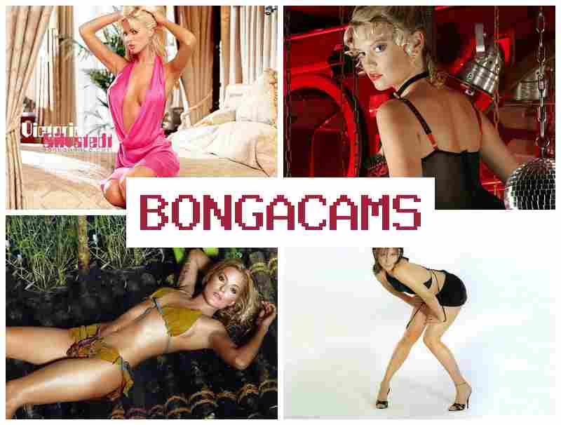 HONGA CAMS 👍 XXX Porn Video & Petite Slut