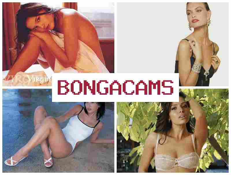 BINGA CAMS 🔷 Vintage Slut Porn & Korean Webcam Show