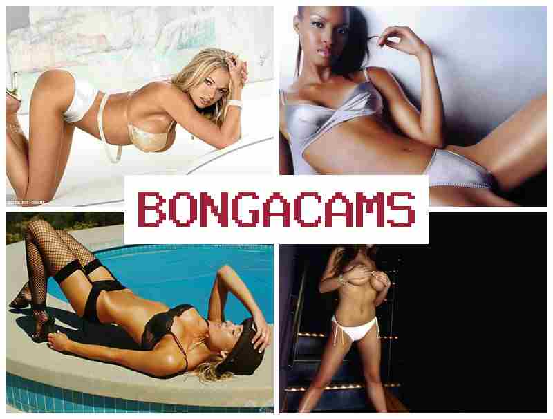 B0NGA CAMS ✔️ Drinking Porn & Mature Swingers Webcam