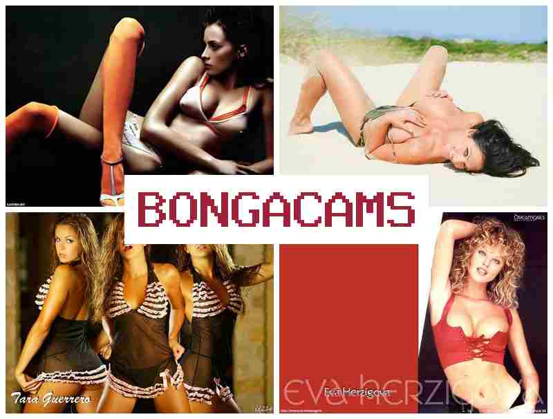 BOBGA CAMS 💚 Smoking Webcam Porn & Broken Sluts