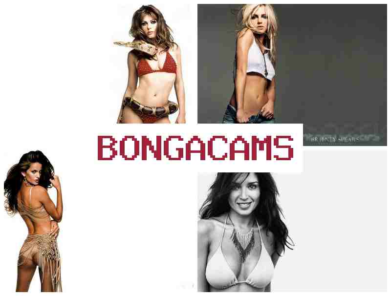 BONGA CQMS 🔶 Big Wet Anal Sex & Sexy Webcam Online