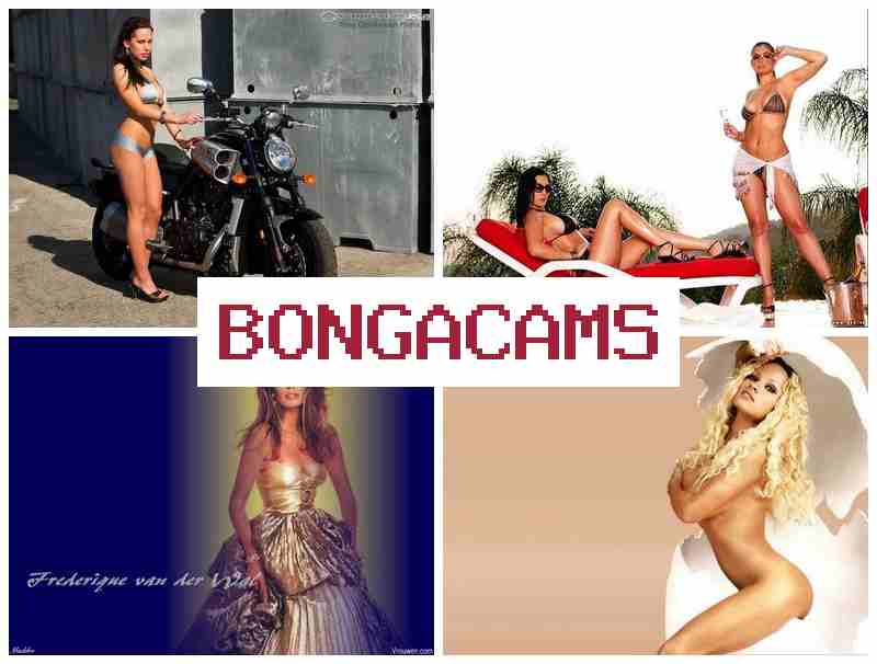 BONGAACAMS 💜 Very Porn & Porn Machine