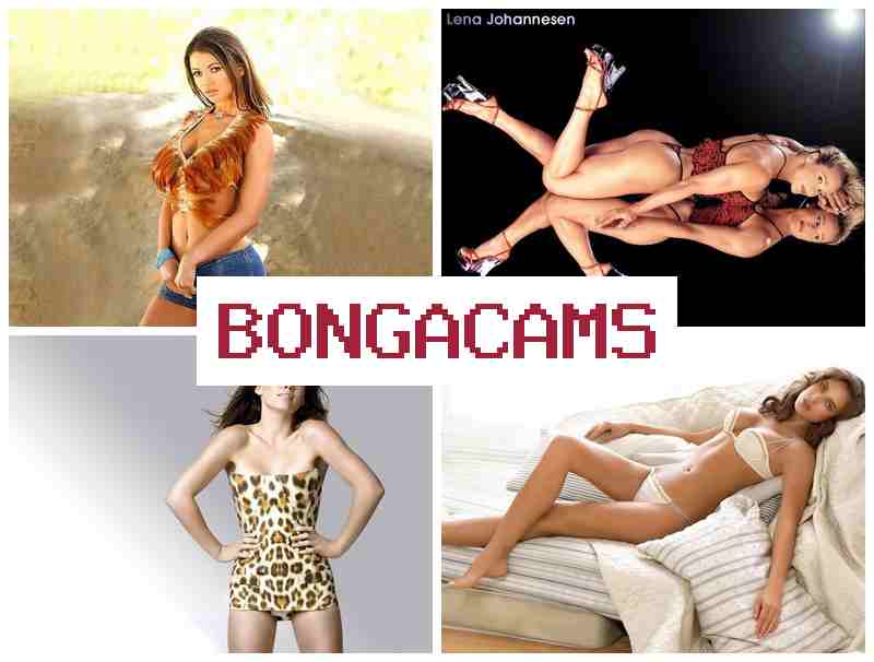 BONGA CA,S 💗 Phyllishardcastle Webcam Video & Trannies Porn