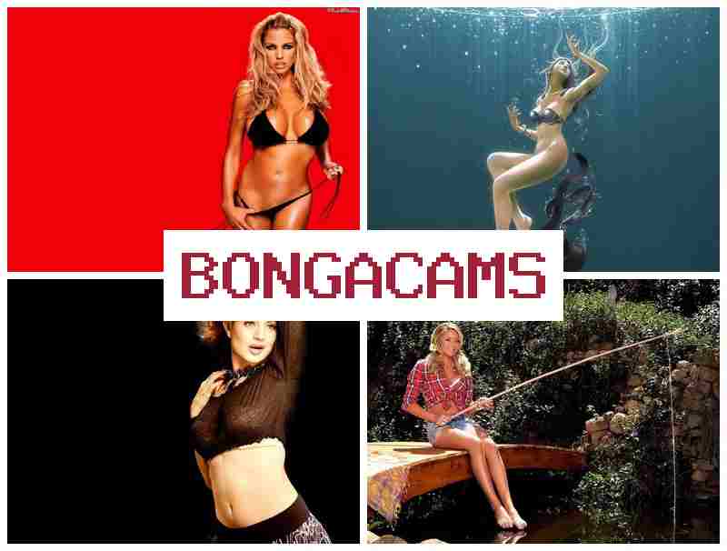 BONGA CAMA 💚 Japanese Webcam XXX & Russia Sluts