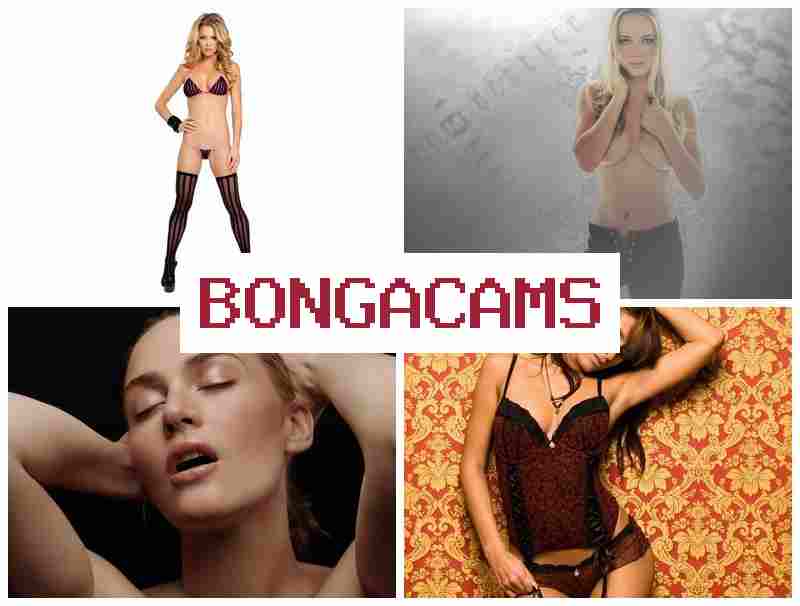 BONGA CAME 💝 Maid Porn & Porno Slut Whores