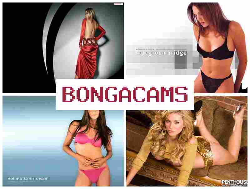 BONGA CAMD 💗 Hot Ass 18+ Webcam & Watch Gangbang Sluts 2025 Porn Film BONGA CAMD 💗 Hot Ass 18+ Webcam & Watch Gangbang Sluts 2025 Porn Film