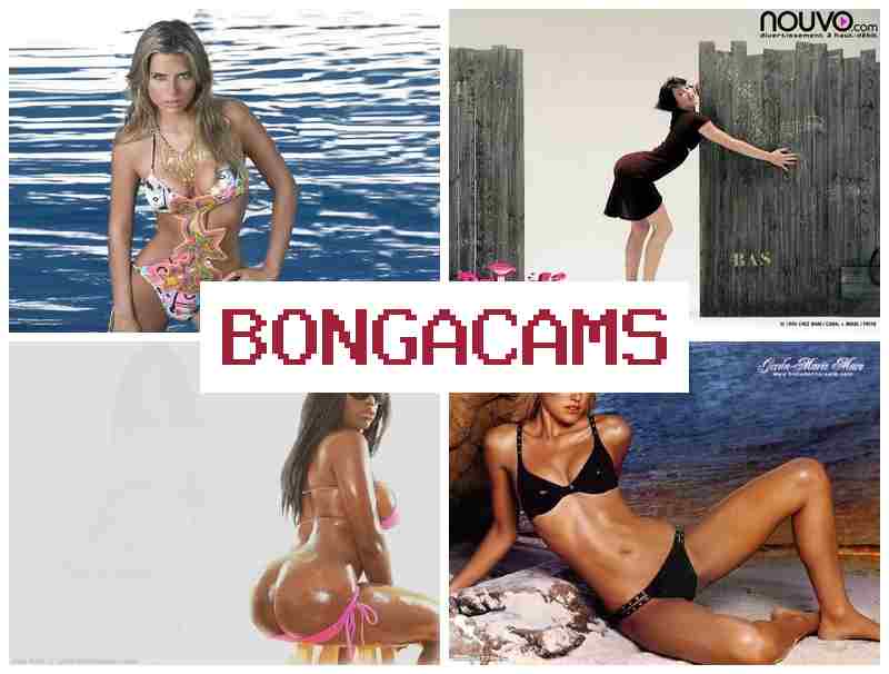 BONGA CAMX 🔵 Retro Slut & Junior Webcam BONGA CAMX 🔵 Retro Slut & Junior Webcam
