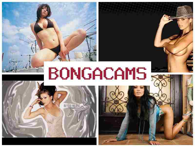 OBNGACAMS 💝 Big Tits Slut Creampie & Hot Videos Porn