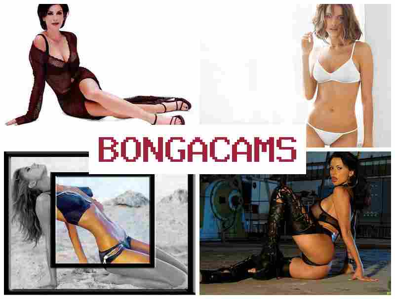 BONGZCAMS 🆓 Furry Gay Porn & Webcam, Anal 720P
