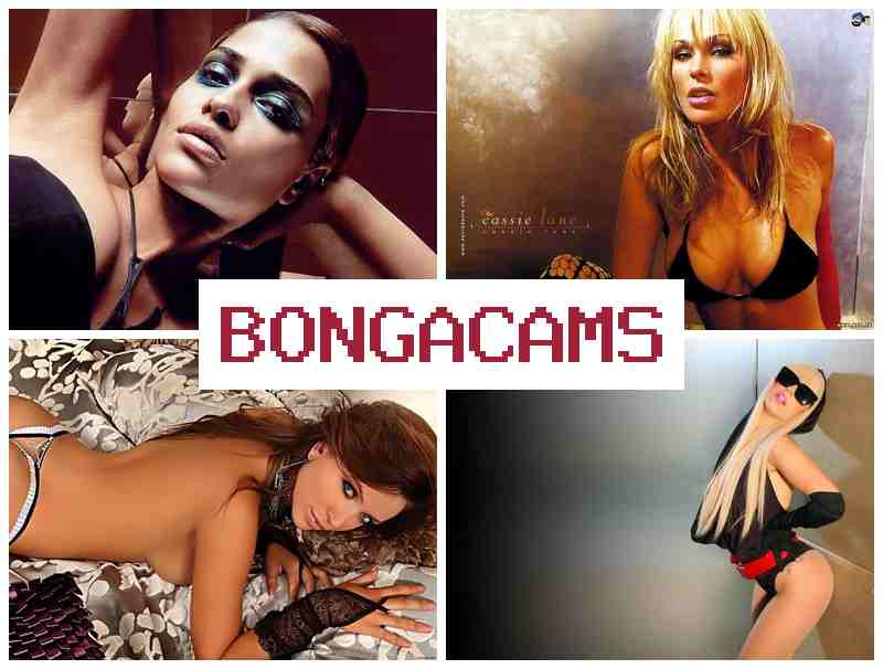 BONGAXAMS 🔴 Webcam Brutal & His Porn