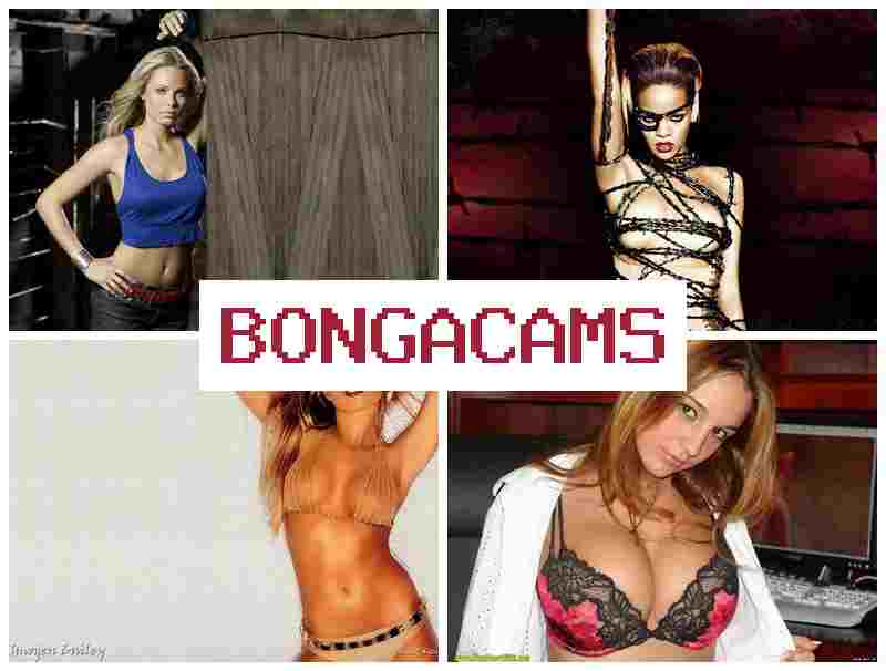 BONGACAJS 🎥 Big Tits Creampies Sex & Piss Porn