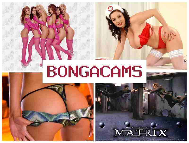 BOGA CAMS 👠 Webcams Solo Milf Porno & BWW Webcams Porn