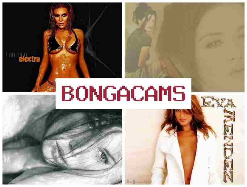 BONGA CMS 🔺 Anal Sluts We Trust & HD Sex Mex