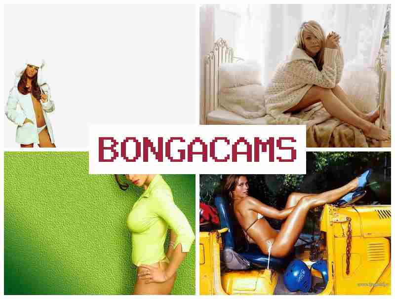 BONNGA CAMS 💞 Porn Films & Slut Wife Tubes