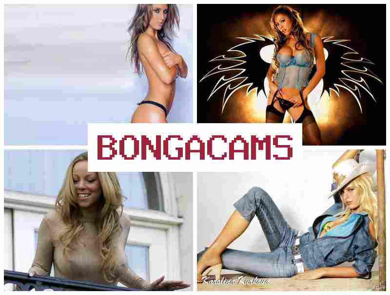 BONGGA CAMS 🔵 Murder Porn & Teen Webcams Faps