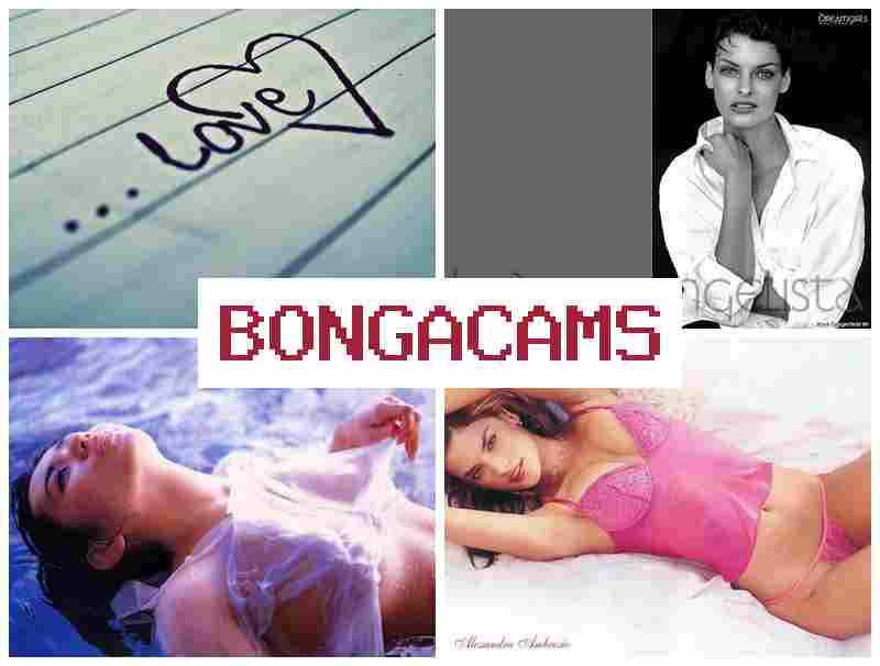 BONGA CCAMS 📹 Vintage Sluts & Trap Webcam Porn