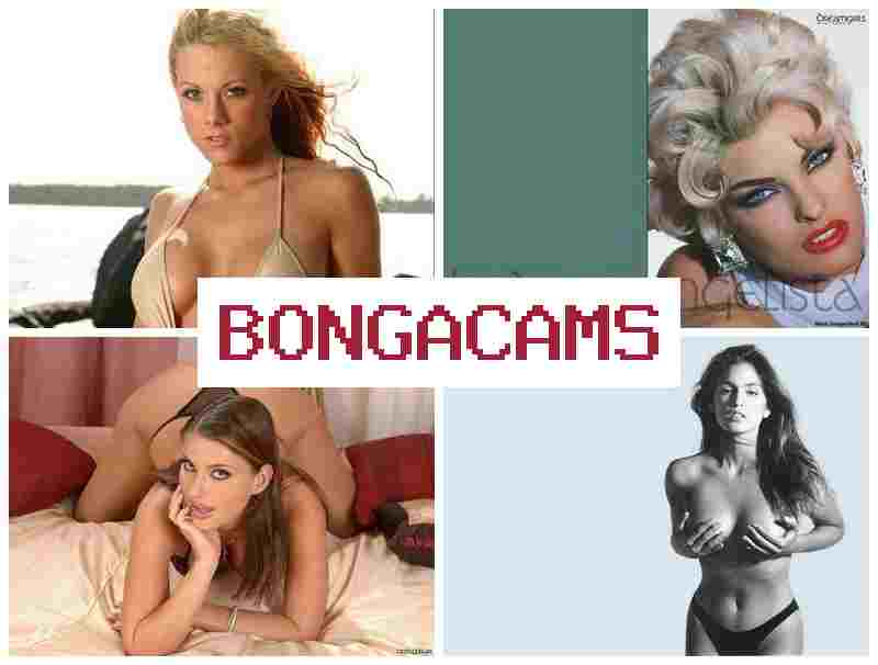 BONGA CAAMS 🎥 Stockings Sluts Porn & Big Booty Sex