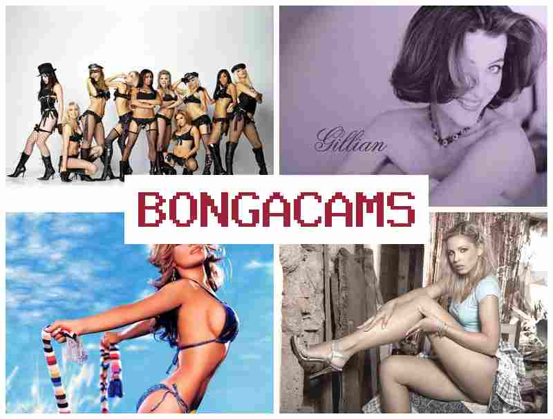 BONGAC AMS 🆗 Sister's Porn & Skinny Slut Sex