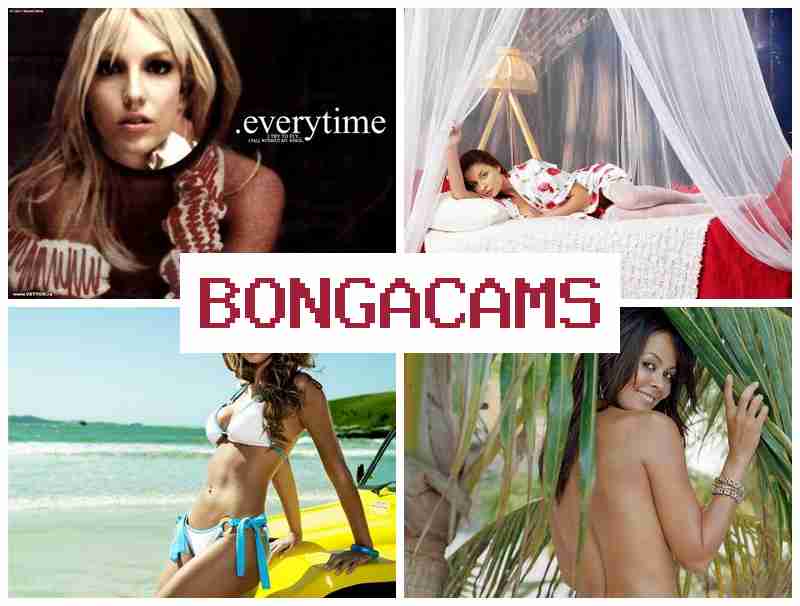 BONGA CASM ✔️ Hentai Ahegao Slut & CP School Incest Home Sex in Telegram