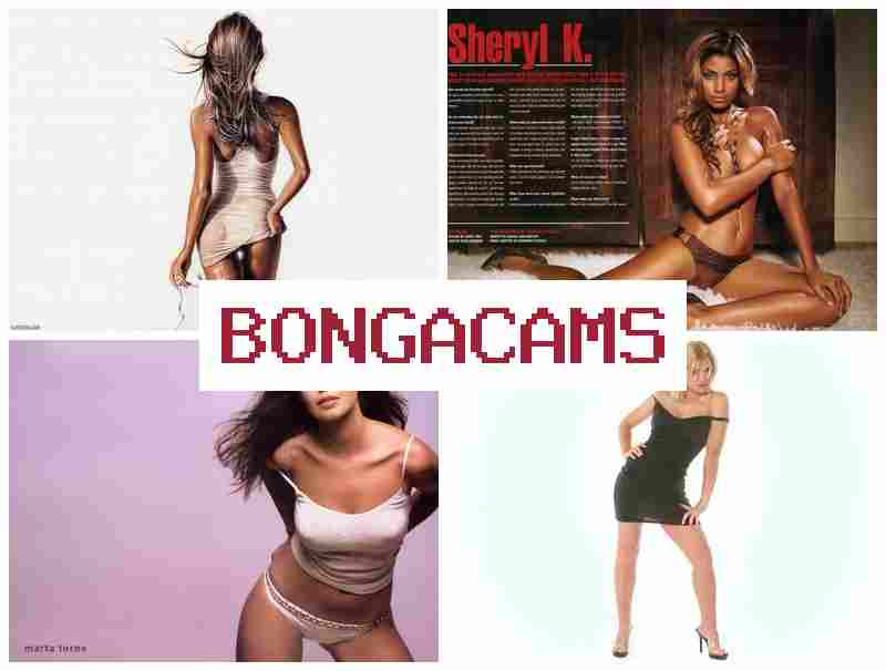 VONGA CAMS 🔞 Webcam Fuck Cute Girl & Webcams US