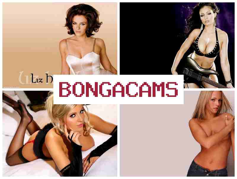 HONGA CAMS 💖 Black Cocks Slut & American Sluts Porno