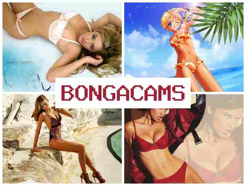 B9NGA CAMS █ Family Porn & Pussy Licked Webcam