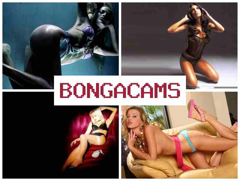 BOBGA CAMS 💘 Hotter Porn Sex & BBW Big Tits Woman Sex