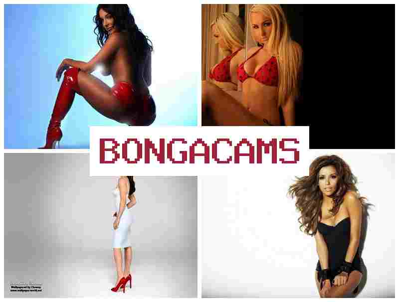 BONHA CAMS 💙 Free Sex Big Mom & Sex Xxx Porn