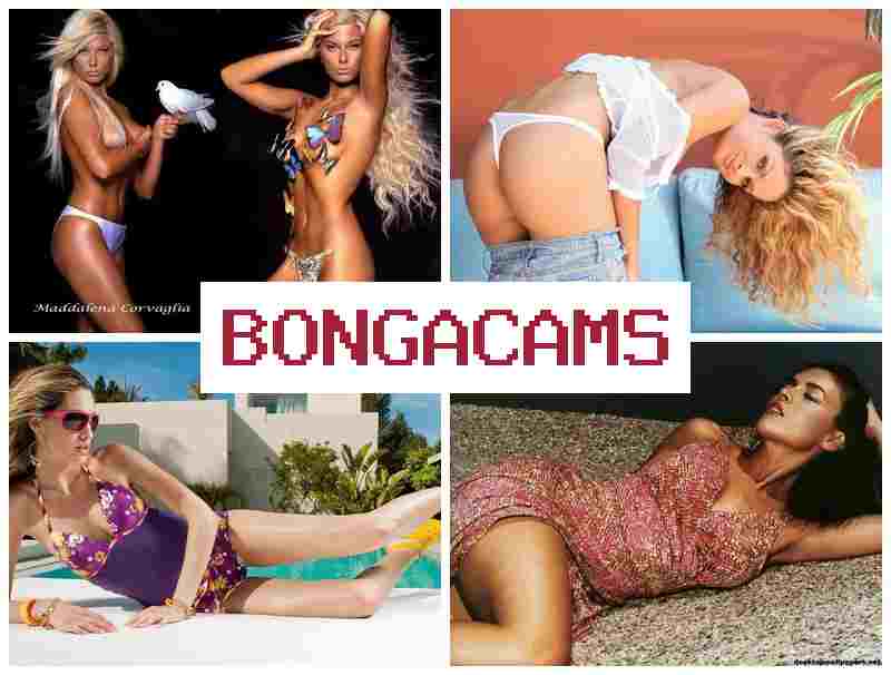BONGA FAMS 🔴 Indian Porn & Porn Spacing