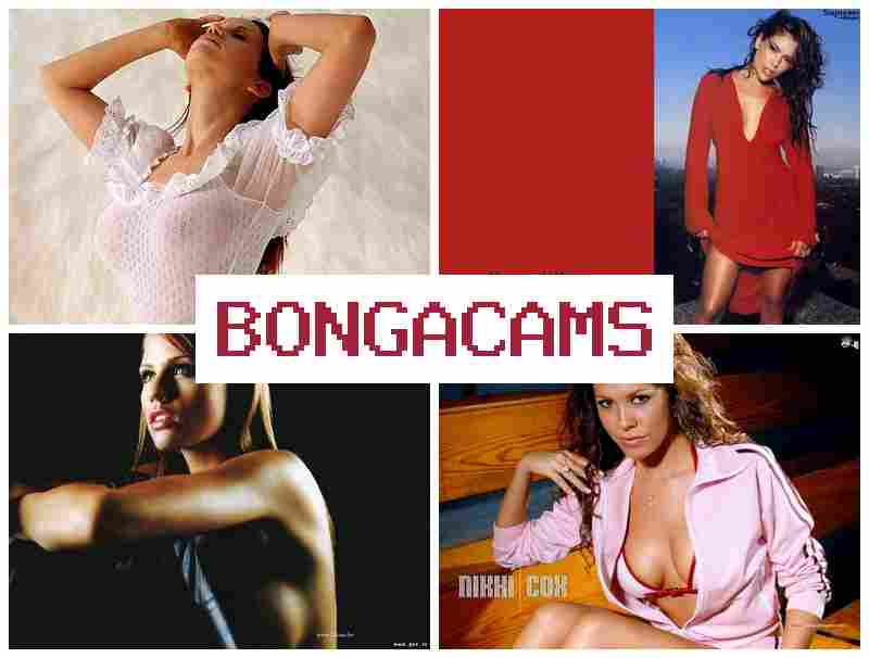 BONGA CWMS 🔵 Teen Sex Webcams Porno & Porn Time