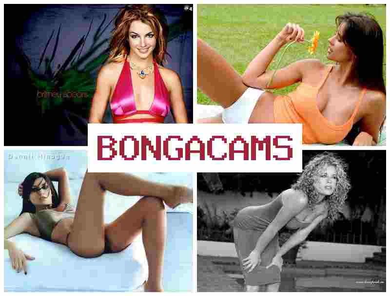 BONGA CAJS 🆗 BBC Sex Telegram & Better Porn