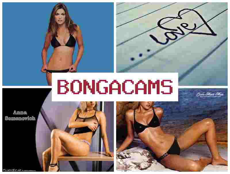 BONGA CAMW ♥ Porn Tube & Full Hd Porn
