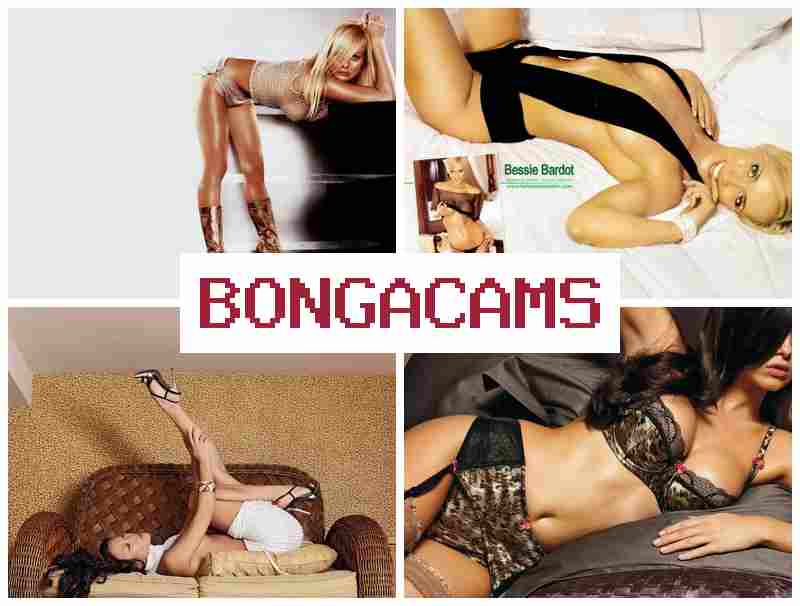 BONGACCAMS 📹 Handjob Sex & TG Porn