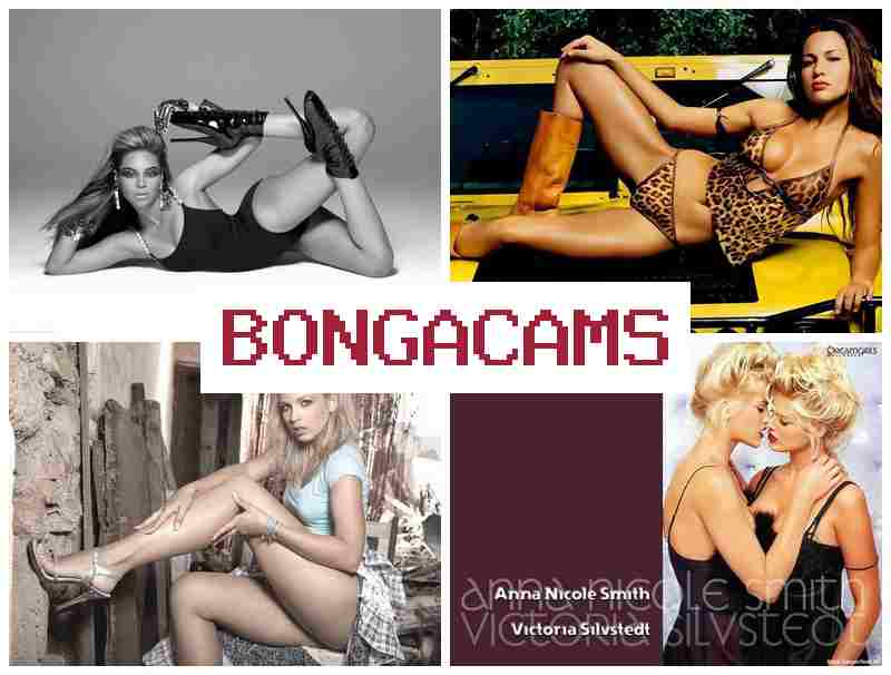 BONGACAMSS 💏 Creampie Porn & Furry Anal Sex 18+