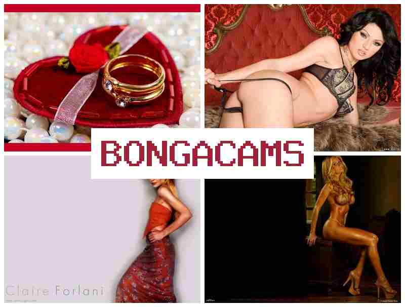 OBNGACAMS ⭕ Porn Sex Ass & 4 Video Sex