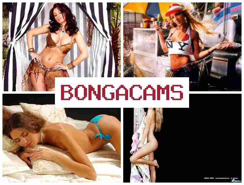 BOGACAMS 💯 1 Porn & Cumshot Sex Scenes BOGACAMS 💯 1 Porn & Cumshot Sex Scenes