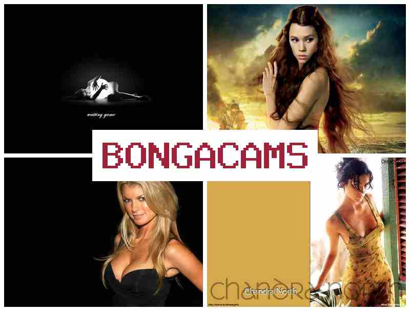 BONGACASM 💋 New Porn Videos & Ass Anal Porn